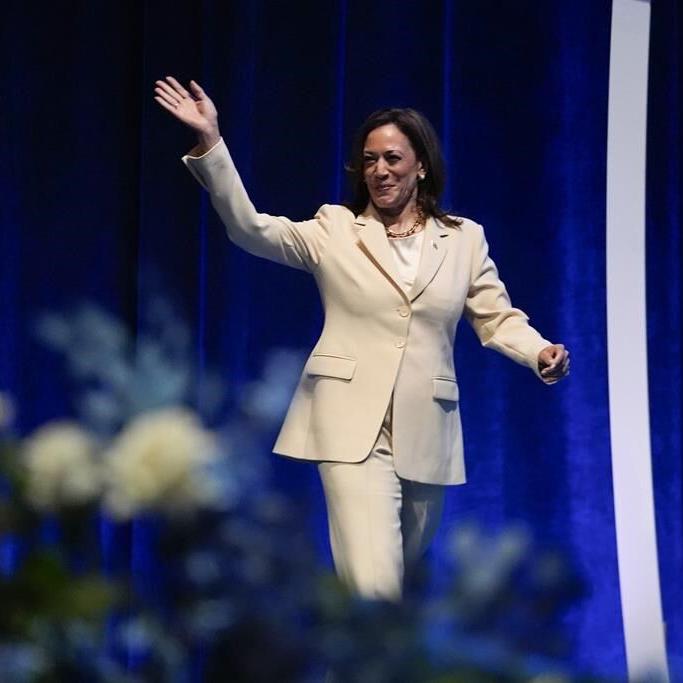 Democrats poised to virtually nominate Harris - and her running mate - by Aug. 7